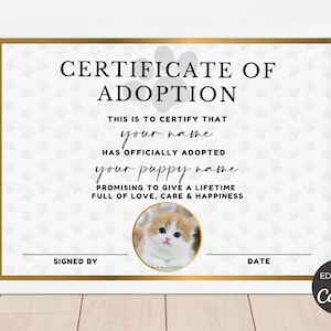 Editable Cat Dog Pet Adoption Certificate, Printable Pet Adoption Party Certificate, Certificate Of Adoption Animal Canva Template. TDS-09