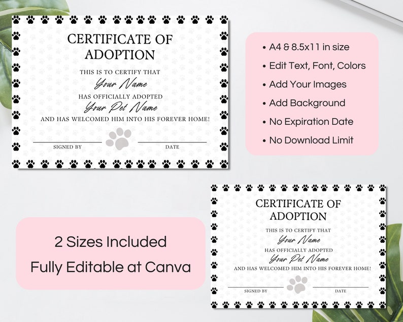 Editable Certificate Of Adoption Template, Printable Pet Adoption Party Certificate Template, Gotcha Day Certificate, Canva Template. TDS-09 image 2