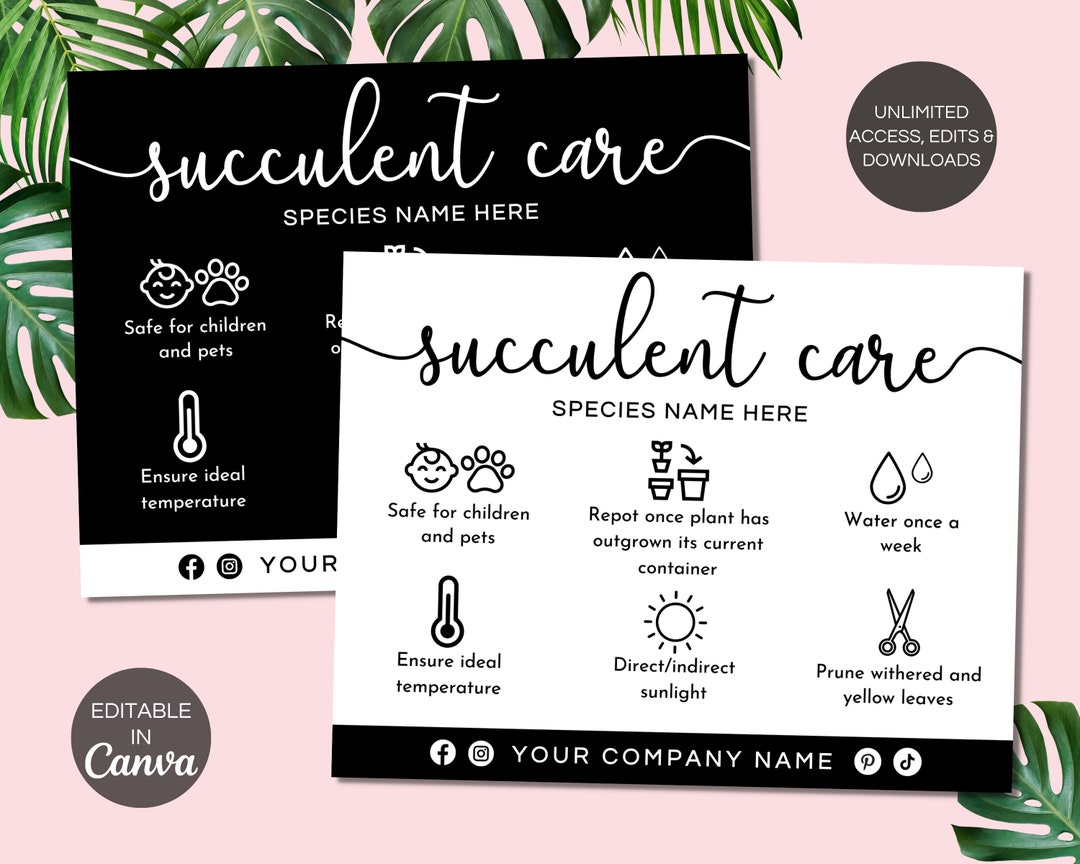 Succulent Care Card Template, Editable Plant Care Guide, Printable ...