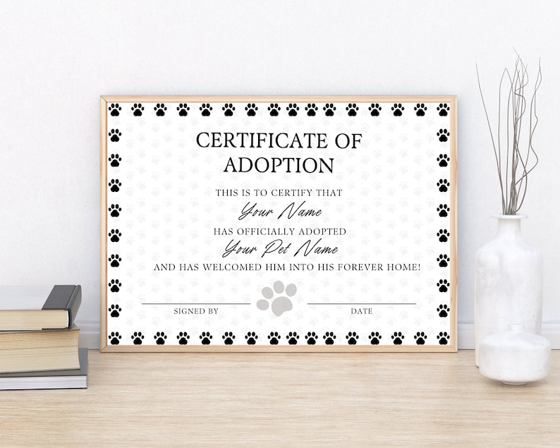 Editable Certificate Of Adoption Template, Printable Pet Adoption Party Certificate Template, Gotcha Day Certificate, Canva Template. TDS-09 image 7