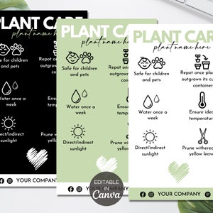 Plantilla de tarjeta de cuidado de plantas, guía editable de cuidado de plantas, tarjetas de cuidado de suculentas imprimibles, plantilla Canva de instrucciones de cuidado de plantas de interior. TDS-05