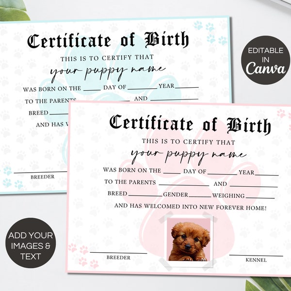 Puppy Birth Party Certificate, Editable Puppy 1st Birthday Certificate Canva Template, Printable Pet Pet Adoption Birth Certificate. TDS-09