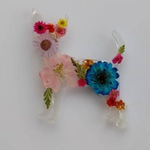 dog keychain or badge reel  CUTE! Real dried flower Chihuahua Dog Bone  Badge Reel CUTE Kid Friendly cartoon Doctor   Nurse Pediatric