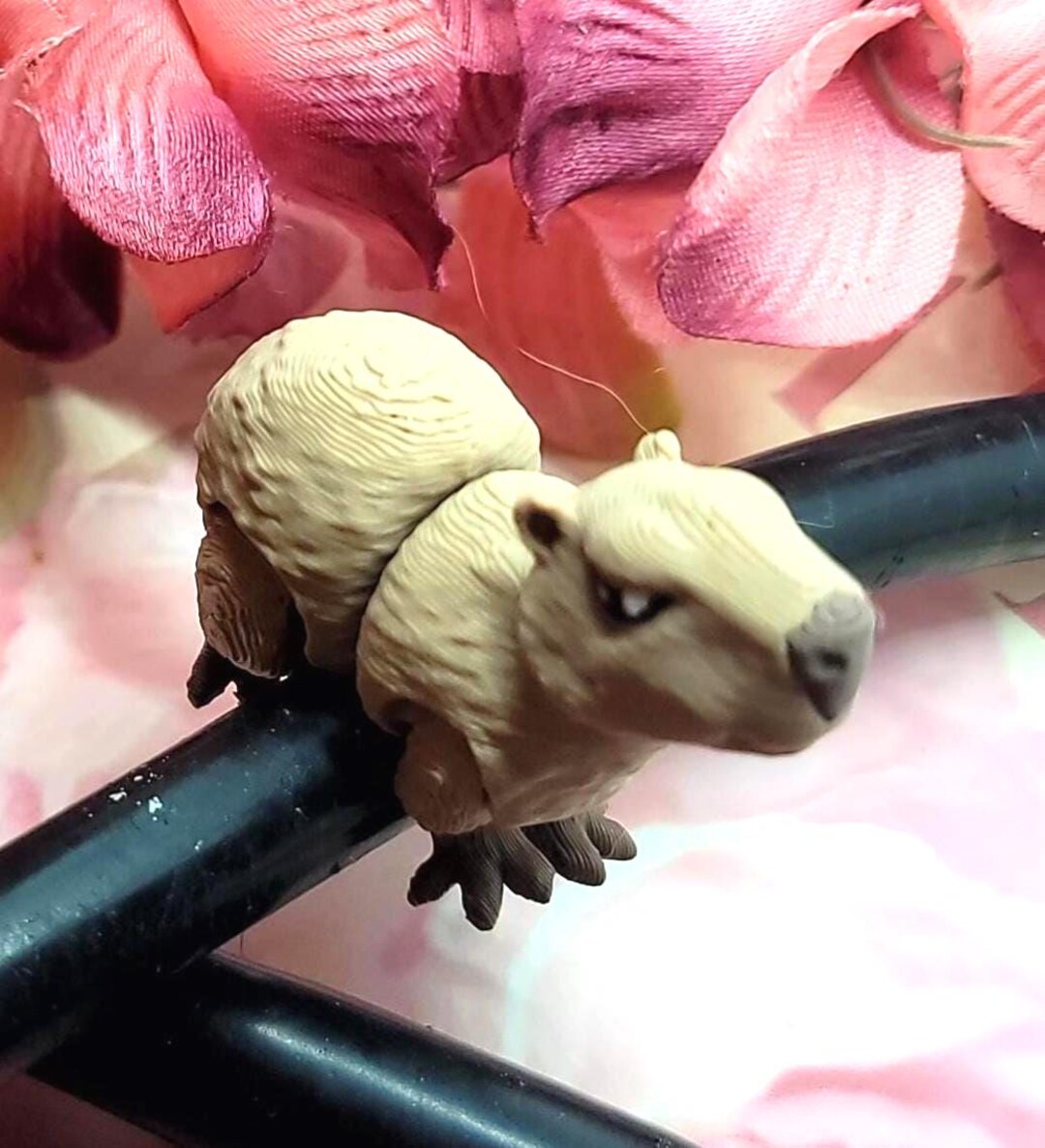 Capybara 3D Movable! Some FUN to Your Stethoscope Charm-add Some Fun ...