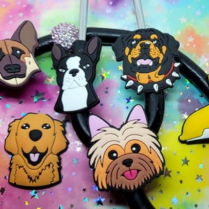 Add some fun! to your Stethoscope larger Dogs YORKIE- Boston Terrier--Lab _Corgi-German Shappard dog stethoscope tag Pediatric
