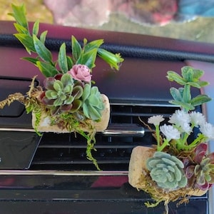 CAR AIR FRESHENER -2-pieces 1 Daisy flower & 1 Succulent Plant Vent Clip-Car Accessories-Car Oil Diffuser-car accessories