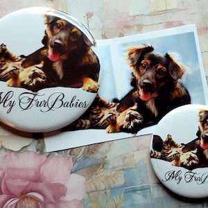 Stethoscope badge Dog-Cat LARGE/small Photo -Add Name to your Stethoscope add your picture to your Stethoscope Friendly Healthcare Workers