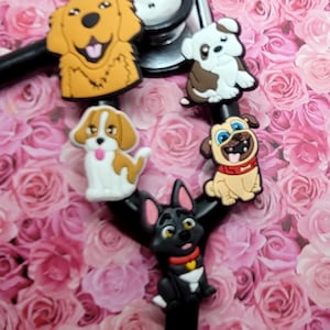 dog stethoscope charms-Add some fun! to your Stethoscope  Lab- Paw Print  2-piece set dog stethoscope tag Pediatric