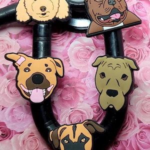 A dd some fun! to your Stethoscope Dogs Boxer- Greyhound- Pit Bull-Dachshund-Lab dog stethoscope tag Pediatric