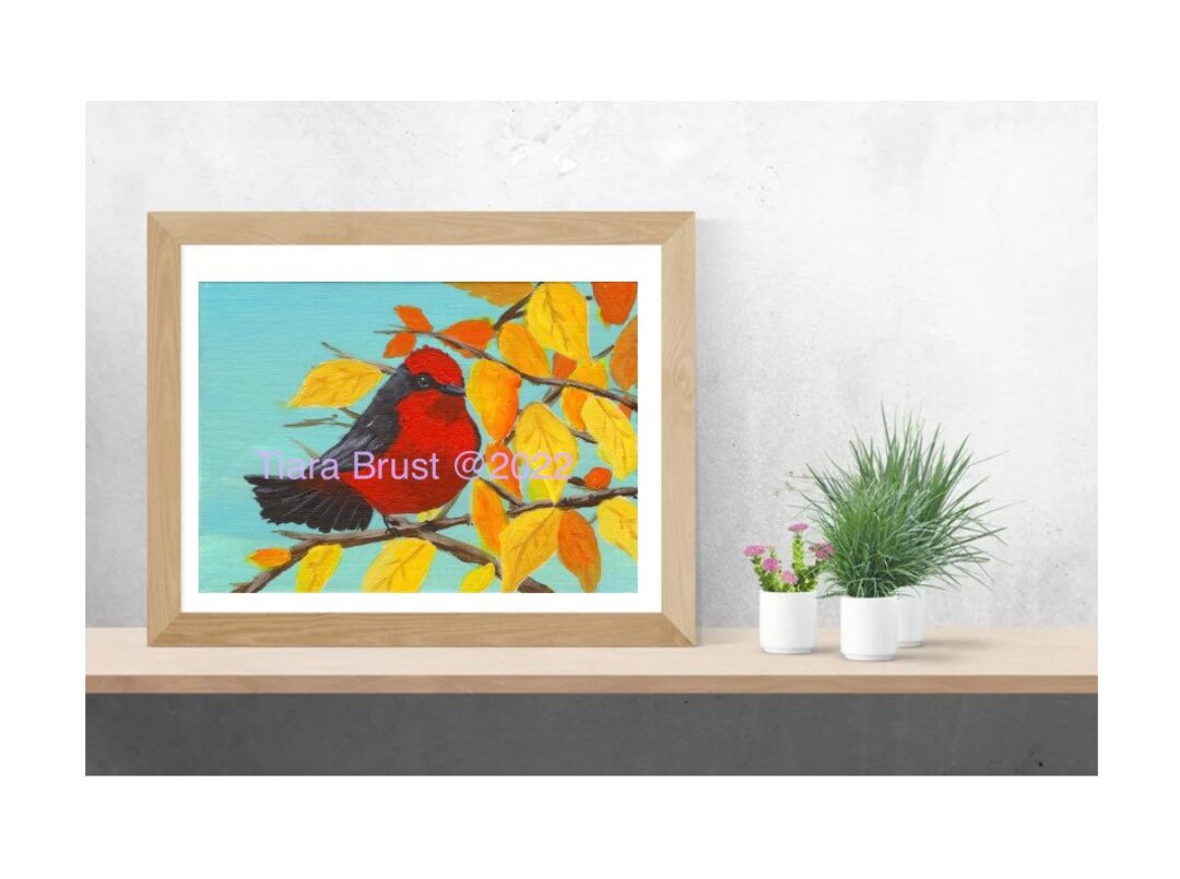 Vermilion Flycatcher, Red Bird Art, Red Bird Painting, Flycatcher