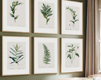 Collectie botanische kruidenprenten | Vintage plantenillustraties | Franse landelijke wanddecoratie | Antieke botanische kunst