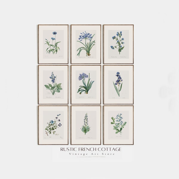 Vintage Botanische Galerie | Wildblumen-Wandkunst | Französisches Landhausdekor | blaue Blumen botanische Kunst | digitale Kunst