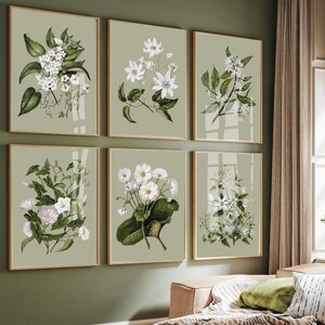 Peut inclure: Un ensemble de six cadres muraux présentant des illustrations botaniques de fleurs blanches et de feuilles vertes sur un fond vert sauge. Chaque impression rectangulaire est encadrée de bois clair, montrant des croquis floraux détaillés.