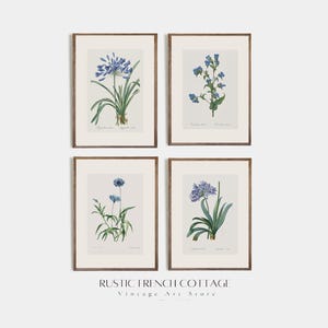 Set of 4 blue wildflower prints | Vintage botanical flower wall art | French Rustic country home decor | French cottage nursery wall set