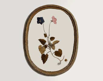 Antique botanical pink and blue flower print | romantic cottage wall decor |  delicate vintage floral art for soft bedroom or reading nook