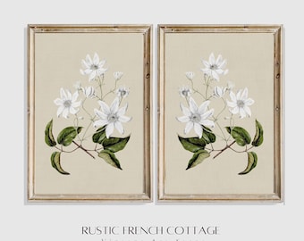 Botanical Wall Art Set of 2 Printed and Shipped | Vintage Floral Prints for Rustic English Farmhouse Style | Classic Botanical Illustration