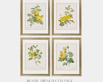 Vintage prints van gele rozen | Set van 4 botanische wanddecoraties | Franse chaletstijl | Antieke bloemendecoratie | Kunst van gele rozen