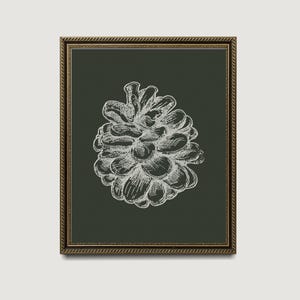 Può includere: Stampa incorniciata con uno schizzo bianco di pigna su sfondo verde scuro. La cornice dorata presenta un design ornamentale. Adatta per l'arredamento della casa.