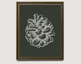 Vintage Elegant Pinecone Art Print | Dark Green Winter Nature Illustration | Rustic Chalet Winter Decor | Forest Woodland Printable Wall Art