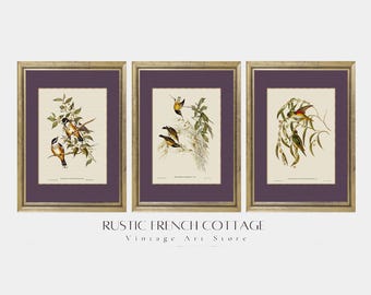 Láminas de pájaros vintage | Ilustraciones de pájaros antiguos | Arte rústico | Arte mural de pájaros de granja | Láminas de pájaros