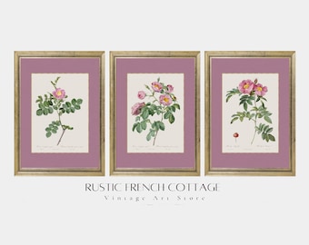 ピンクの植物画プリント3枚セット｜印刷・発送｜フレンチファームハウス風壁飾り｜繊細な花々のエレガントなイラスト