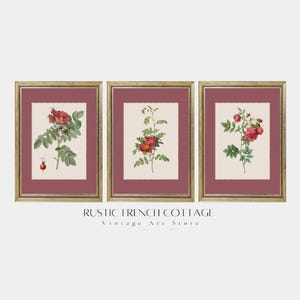 Digital Rose Print Set | Vintage Botanical Red Roses | French Decor for Download | Rustic Farmhouse Art | Printable Vintage Floral Wall Art
