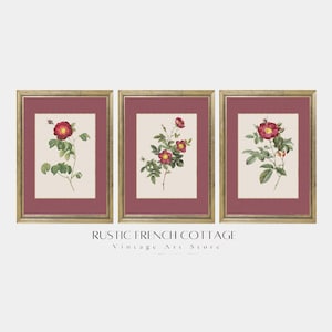 Printable Red Rose Trio | Vintage Botanical Wall Decor | Farmhouse Digital Art Set | Elegant French Flower Prints | Instant Download roses