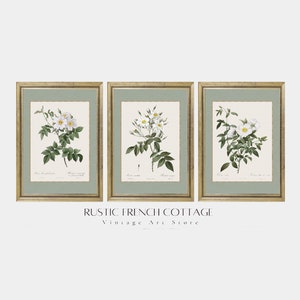 Set of Three Vintage Floral Prints in Sage Green | Botanical Wall Gallery for Rustic Decor | Set of Antique White Rose Prints | Farm Nursery