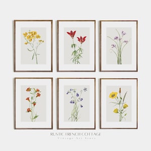Set of 6 Vintage Wildflowers Prints | Soft Farmhouse Nursery Wall Art | Neutral Minimalist Botanical Poster | Gentle Antique Floral Décor