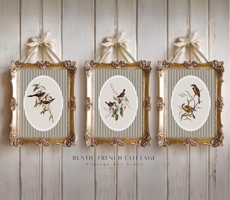 May include: Three framed vintage bird prints. Each gold-framed print features an oval image of birds perched on branches. The frames are hung with cream-colored bows. The text "RUSTIC FRENCH COTTAGE Vintage Art Store" is at the bottom.