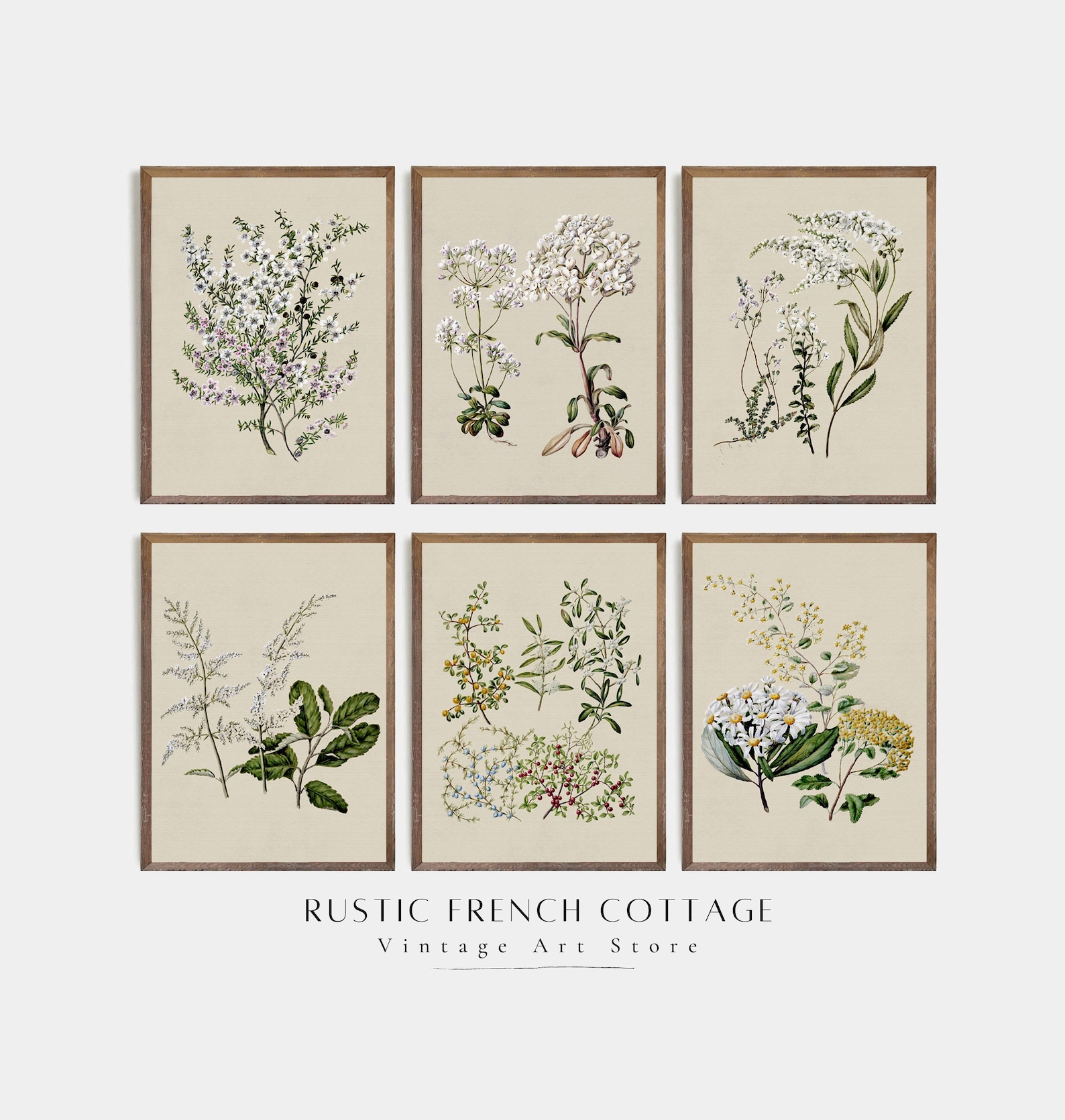 Vintage Botanical Wall Art Set of 6 | Antique Floral Prints for ...