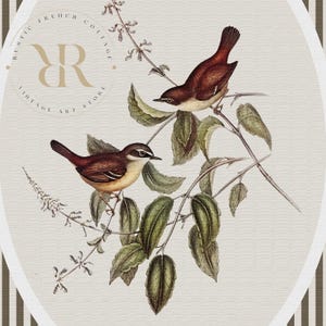 May include: Vintage-style illustration featuring two brown birds perched on leafy branches. The birds have white and tan markings. The artwork is set against a cream background with a decorative oval frame and the text "RUSTIC FRENCH COTTAGE VINTAGE ART STORE".