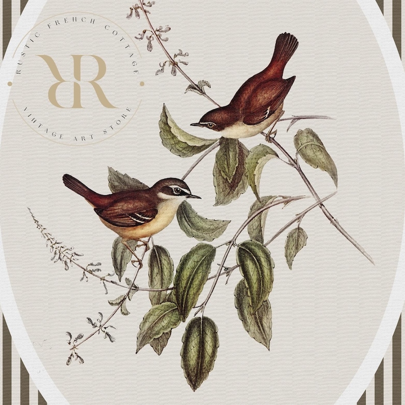 May include: Vintage-style illustration featuring two brown birds perched on leafy branches. The birds have white and tan markings. The artwork is set against a cream background with a decorative oval frame and the text "RUSTIC FRENCH COTTAGE VINTAGE ART STORE".