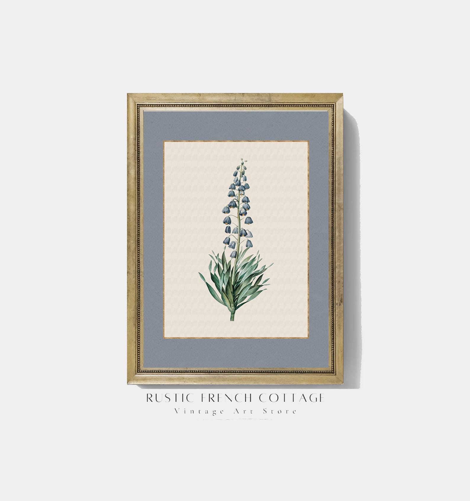 Blue Wildflower Botanical Wall Art Set | Vintage French Cottage Floral ...