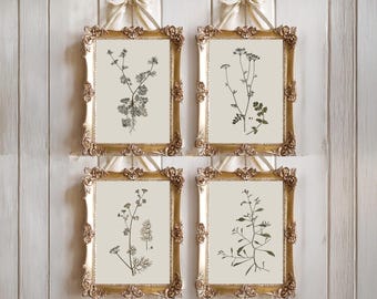 Vintage herbarium delicate botanical set | minimalist farmhouse decor | dried flowers wall art | elegant kitchen style | Natural printed art