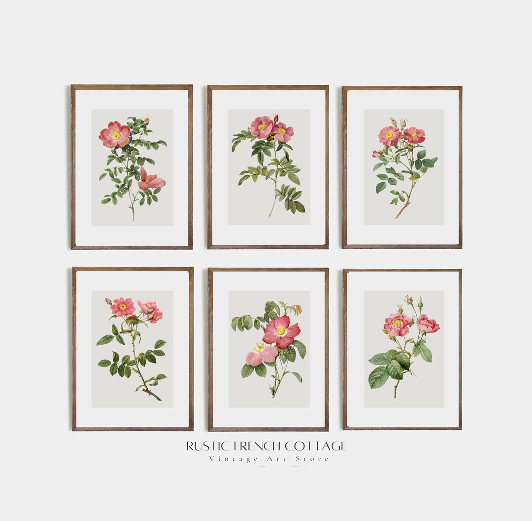 Vintage Rose Botanical Art Print Set | Minimalist Antique Flower Wall ...
