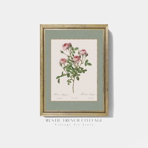 Set of Three Vintage Rose Art Prints for Living Room Décor | Country ...