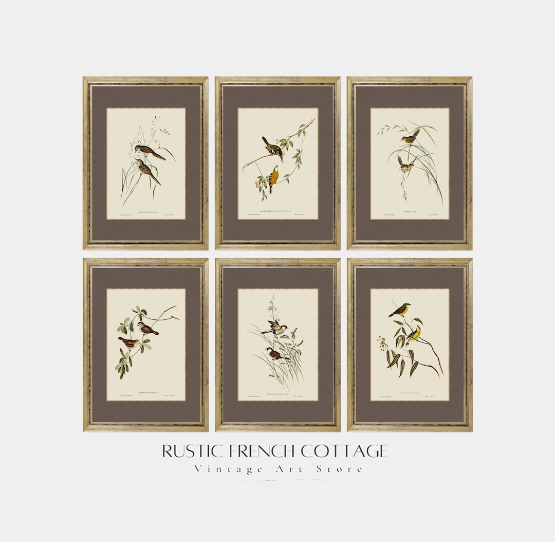 Vintage Bird Prints Set | Botanical Wall Art Set of 6 | Elegant Nature ...