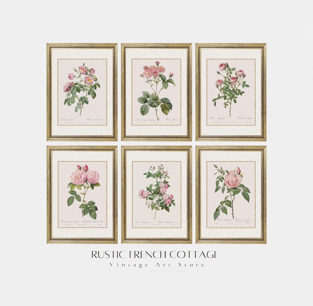 Vintage Rose Wall Art Printable | Pink Flower Set | Shabby Chic Wall ...