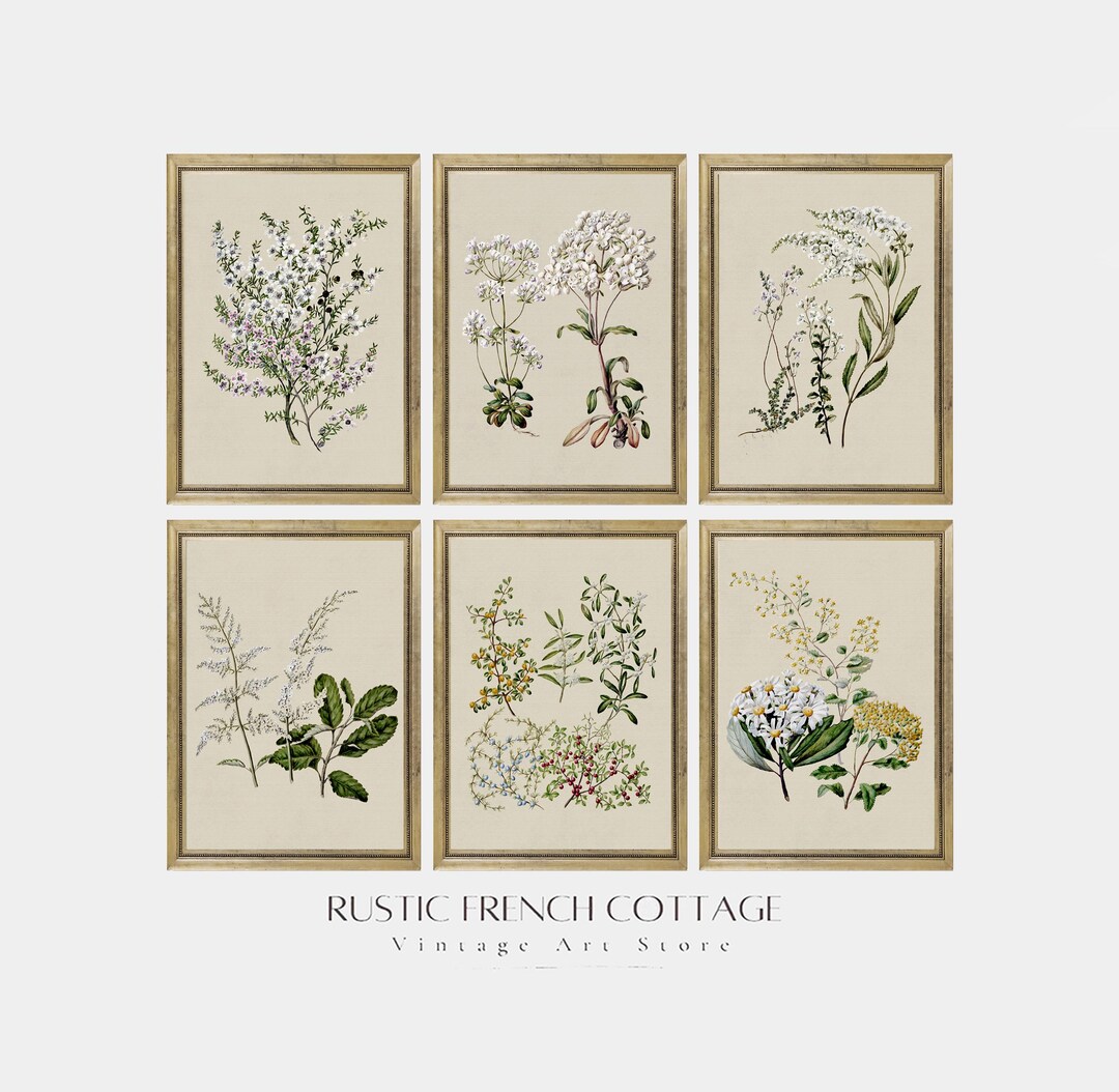Vintage Botanical Wall Art Set of 6 | Antique Floral Prints for ...
