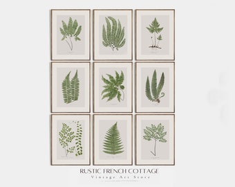 Vintage Botanical Gallery Wall Art Set of Nine | Country Art Prints for Dining Room | Vintage Green Leaf Botanical Art | Digital Prints