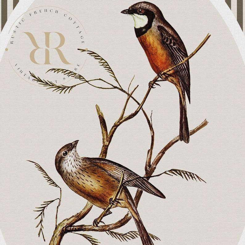 May include: A vintage-style print featuring two detailed birds perched on branches. The birds have brown, orange, and white plumage. The background is a neutral beige, with the text "Rustic French Cottage" and "Vintage" in a circular logo.