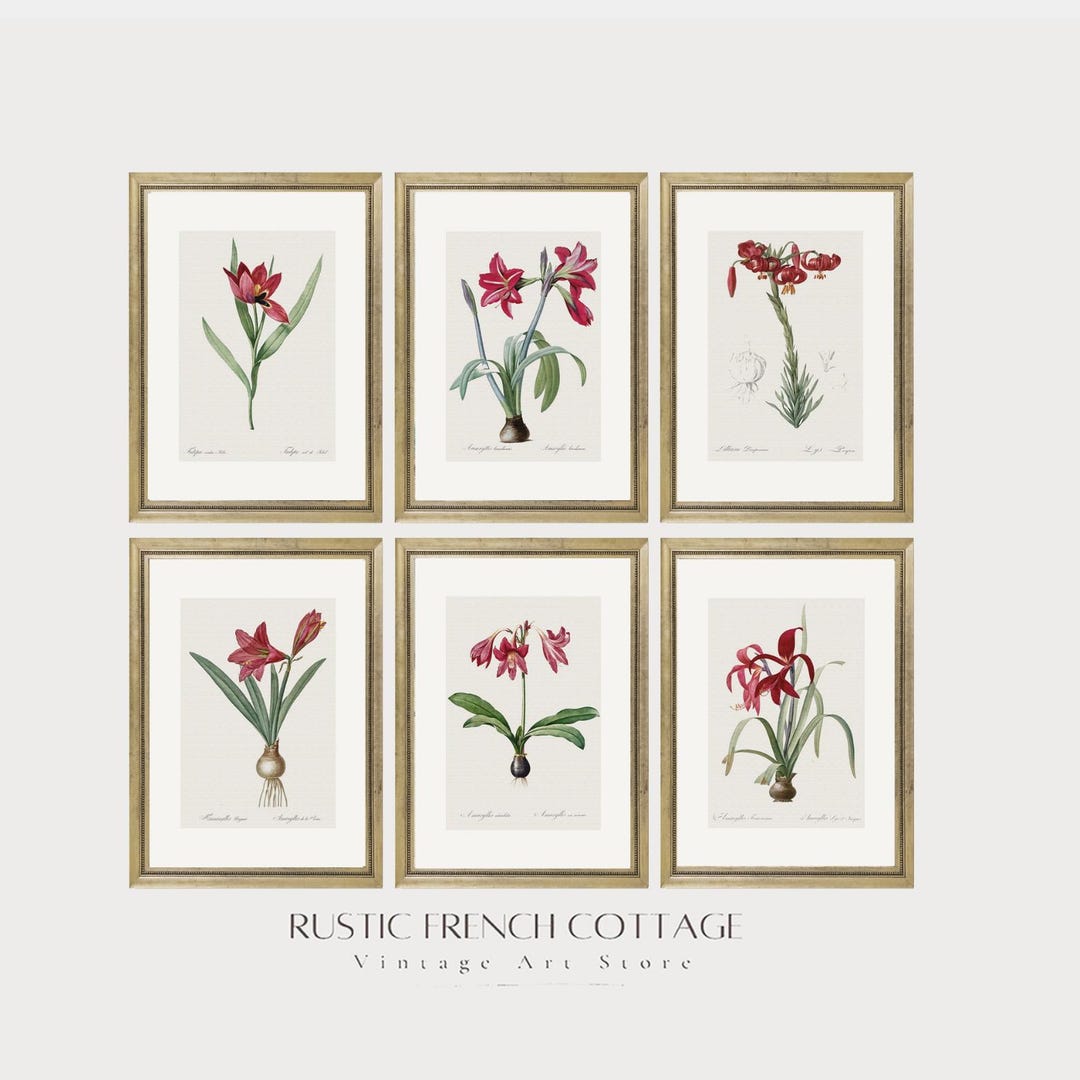 Vintage Floral Wall Art | Set of 6 Red Botanical Prints | Antique ...