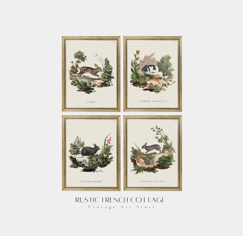 Set of 4 Vintage Rabbit Prints | Woodland Animal Wall Art | Printed ...