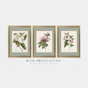 Stampa botanica verde salvia per un arredamento moderno in stile fattoria | set di 3 stampe vintage di fiori bianchi | arte floreale per sala da pranzo