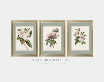 Sage Green Botanical Print for Modern Farmhouse living room | Set of 3 Vintage White Flower Prints | Dining Room Floral Art | Gift for her