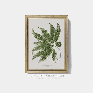 Antique Botanical Painting | Vintage Fern Print | Farmhouse Digital art | French Country Vintage Fern Print | Dark Green Botanical Art