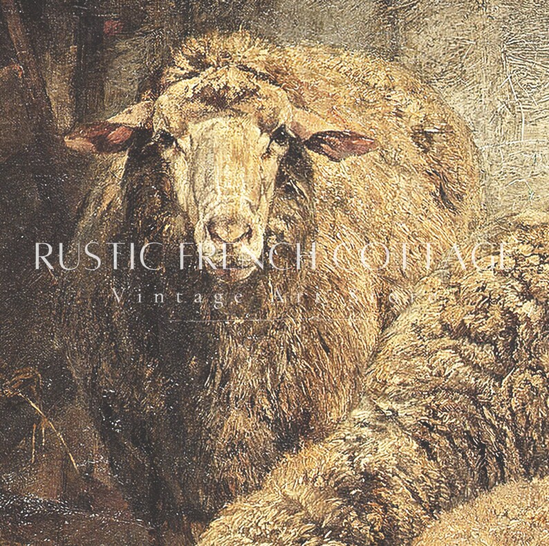 May include: A close-up of a sheep's head and neck, with a soft, brown and white fleece. The sheep is looking directly at the viewer, with a gentle expression. The background is a blurry, textured surface.