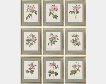Puede incluir: Nueve estampas botánicas enmarcadas de rosas rosas con hojas y tallos verdes. Las estampas están en marcos dorados con un passe-partout verde claro. Las estampas están dispuestas en tres filas de tres. El texto debajo de las estampas dice "RUSTIC FRENCH COTTAGE Vintage Art Store".