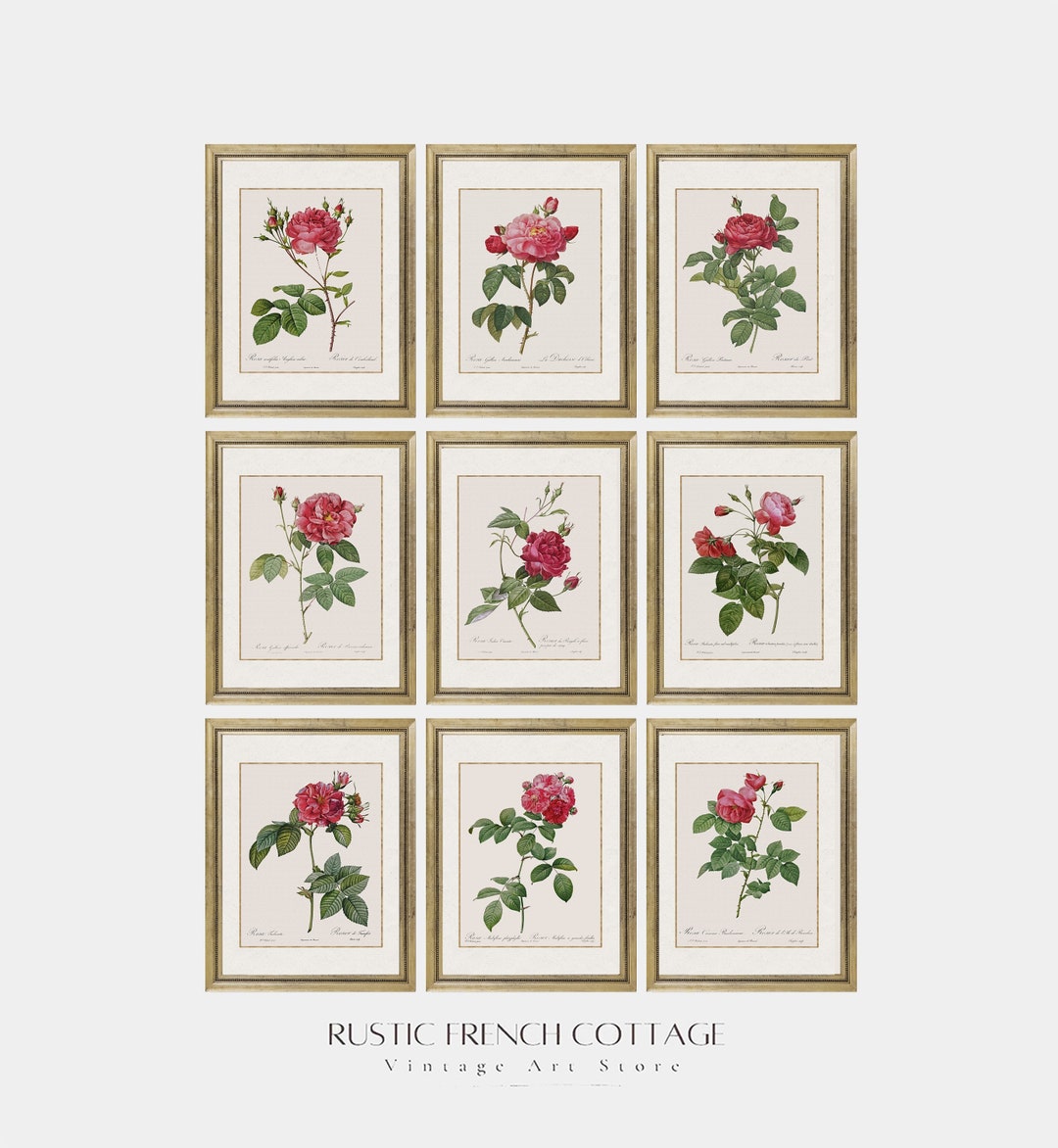 Set of Red Vintage Rose Prints | Romantic Floral Wall Art | Printed and ...